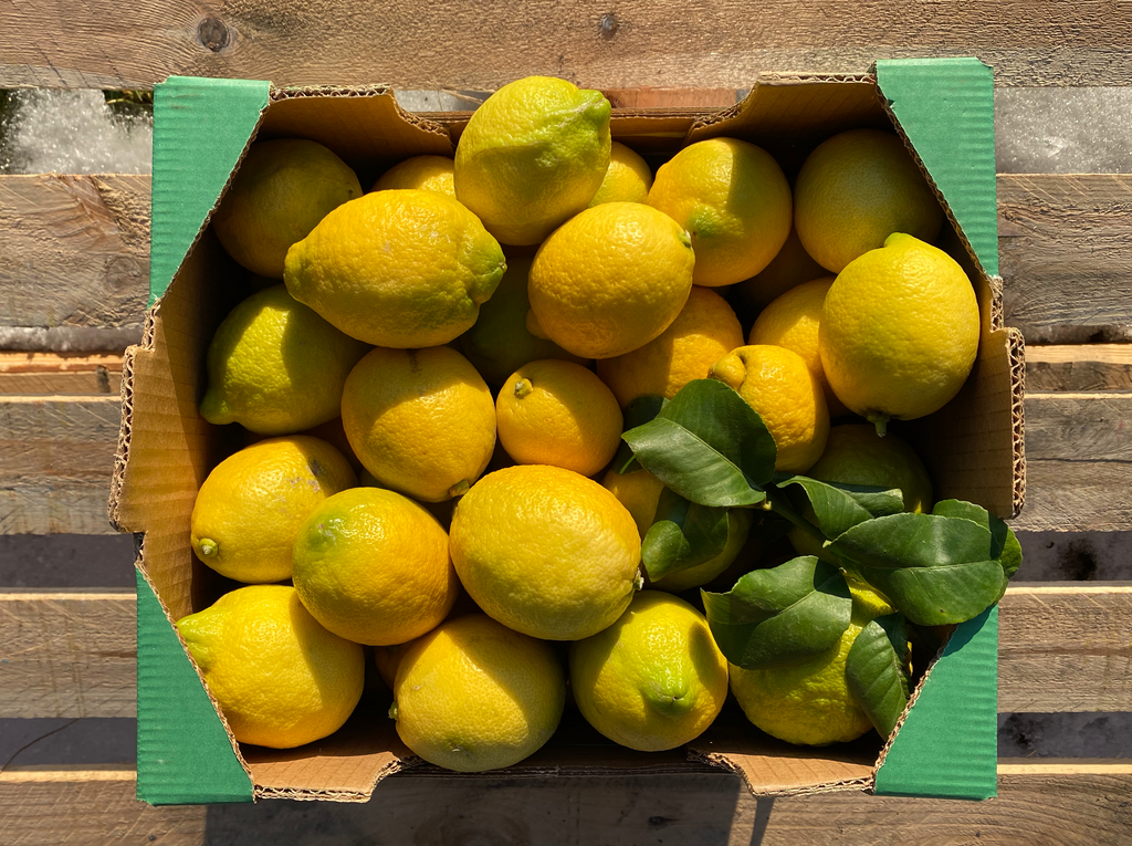 Sapore di Sole Confiture de Citrons de Sicile, 360 g - Boutique en ligne  Piccantino France